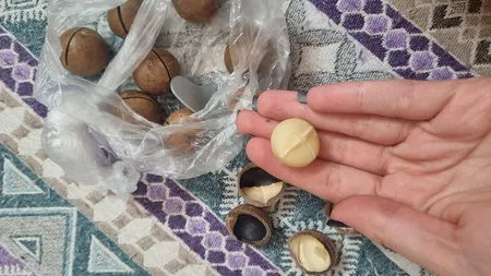 فندق ماکادمیا - 100 گرم