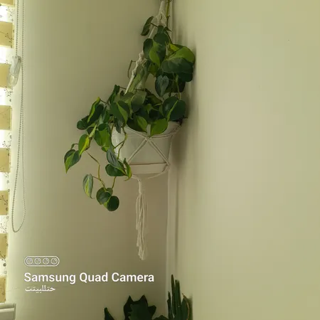 گلدان گل آذین مدل پلاستیکی آویز کد 320