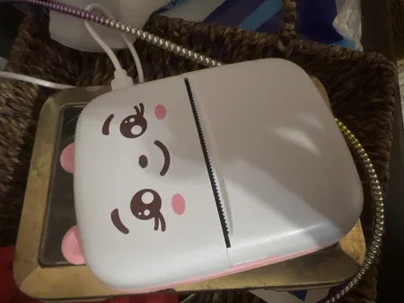 پرینتر حرارتی مدل پرتابل Pink