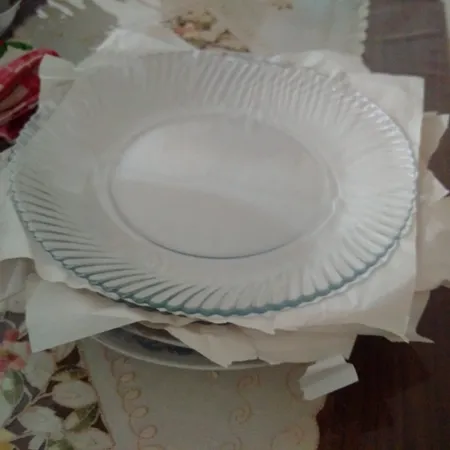 بشقاب غذاخوری نوری تازه سری دیاموند مدل 401022T بسته 6 عددی