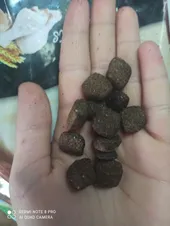 تجریه خرید غذای خشک سگ نوتری پت مدل Premium 29 Percent PROBIOTICS وزن 15 کیلوگرم