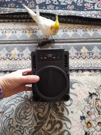 اسپیکر بلوتوثی مدل GTS-1360