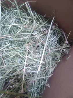 یونجه جوندگان مدل نوین وزن 1000 گرم