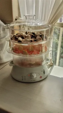 بخارپز پارس خزر مدل FS-12000P