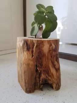 گلدان چوبی فیل چوب مدل GCH_ch