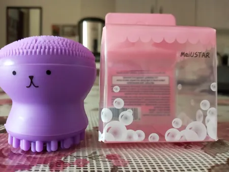 برس پاک‌سازی مدل B 0101