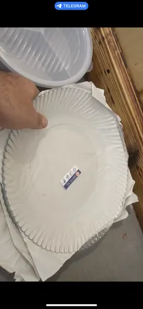 بشقاب غذاخوری نوری تازه سری دیاموند مدل 401022T بسته 6 عددی