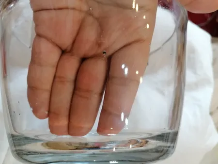 ظرف یخ مدل MD377