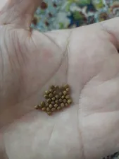 تجریه خرید غذای ماهی آکواریوم کد 1002 وزن 500 گرم