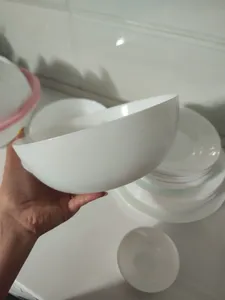 تجریه خرید سرویس غذاخوری 26 پارچه گلدن اوپال مدل Bone