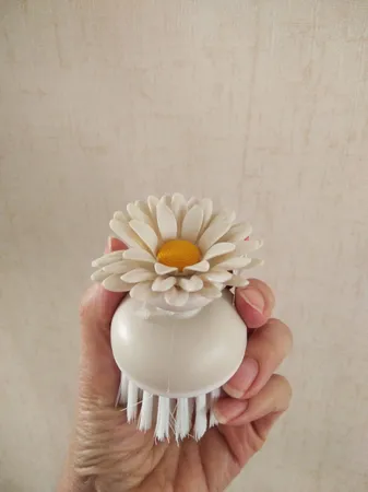 میوه شور مدل flower