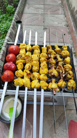 منقل تاشوسفری مدلBraner