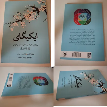 کتاب ایکیگای اثر فرانسس میرالس و هکتور گارسیا انتشارات آیین محمود