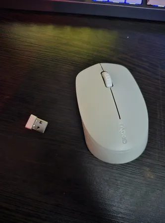 ماوس بی سیم رپو مدل M100 Silent