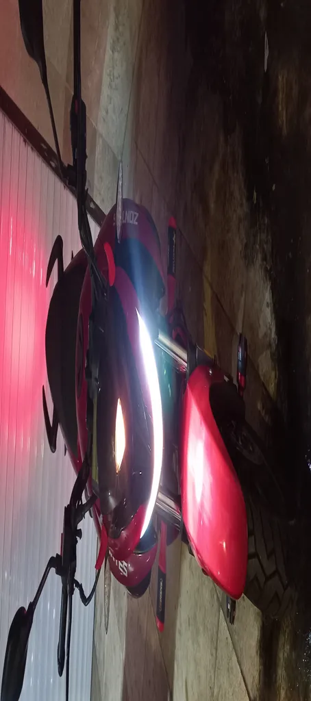 شاخ تزئینی مدل 01 مجموعه 2 عددی