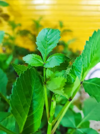 گوشی موبایل شیائومی مدل Redmi Note 13 Pro 5G دو سیم کارت ظرفیت 512 گیگابایت و رم 12 گیگابایت