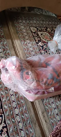 فرش ماشینی 1200 شانه زمینه قرمز لاکی حاشیه سبز طرح هلنا کد25NH0010