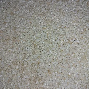 تجریه خرید کنجد برشته گلستان - 300 گرم