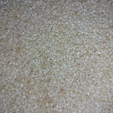 کنجد برشته گلستان - 300 گرم