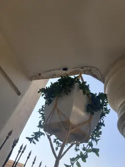 فواره مجیک M505 بسته 5 عددی