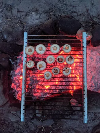 منقل تاشو بست گریل کد 1000002122