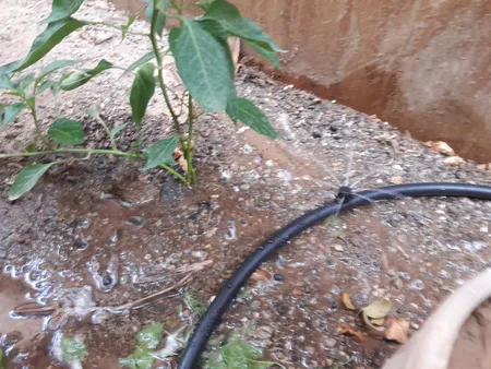 لوازم آبیاری قطره ای تهران دریپ مدل ALFA-50 مجموعه 50 عددی