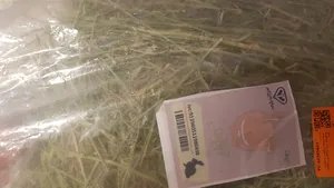 تجریه خرید یونجه خشک خرگوش و خوکچه خرگوشک مدل A001 وزن 1000 گرم