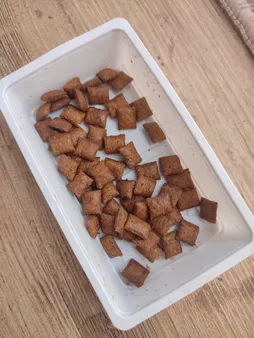 غذای تشویقی گربه دریمز مدل Snack With Duck وزن 60گرم