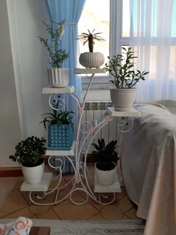 استند گلدان مدل ترنج شش عددی مونتاژی