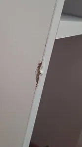 تجریه خرید میز کامپیوتر مدل الیت