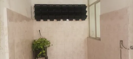 گلدان دیواری طرح دیوار سبز مدل Lotus بسته 6 عددی