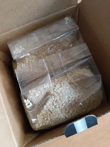 تجریه خرید کنجد پوست کنده خام صادراتی آنید - 500 گرم