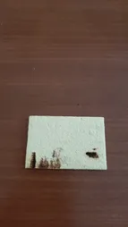 اسفنج نسوز مدل MM73