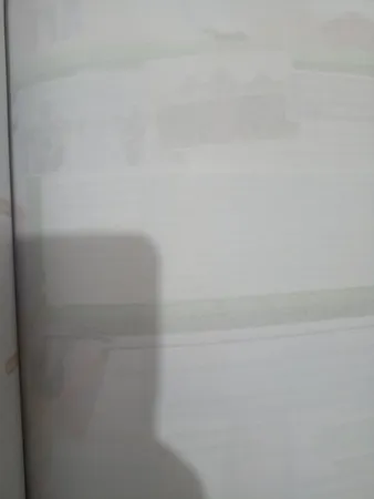 کتاب Family and Friends 5 اثر Tamzin Thompson انتشارات الوندپویان