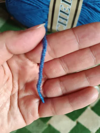 کاموا چلس کد 01