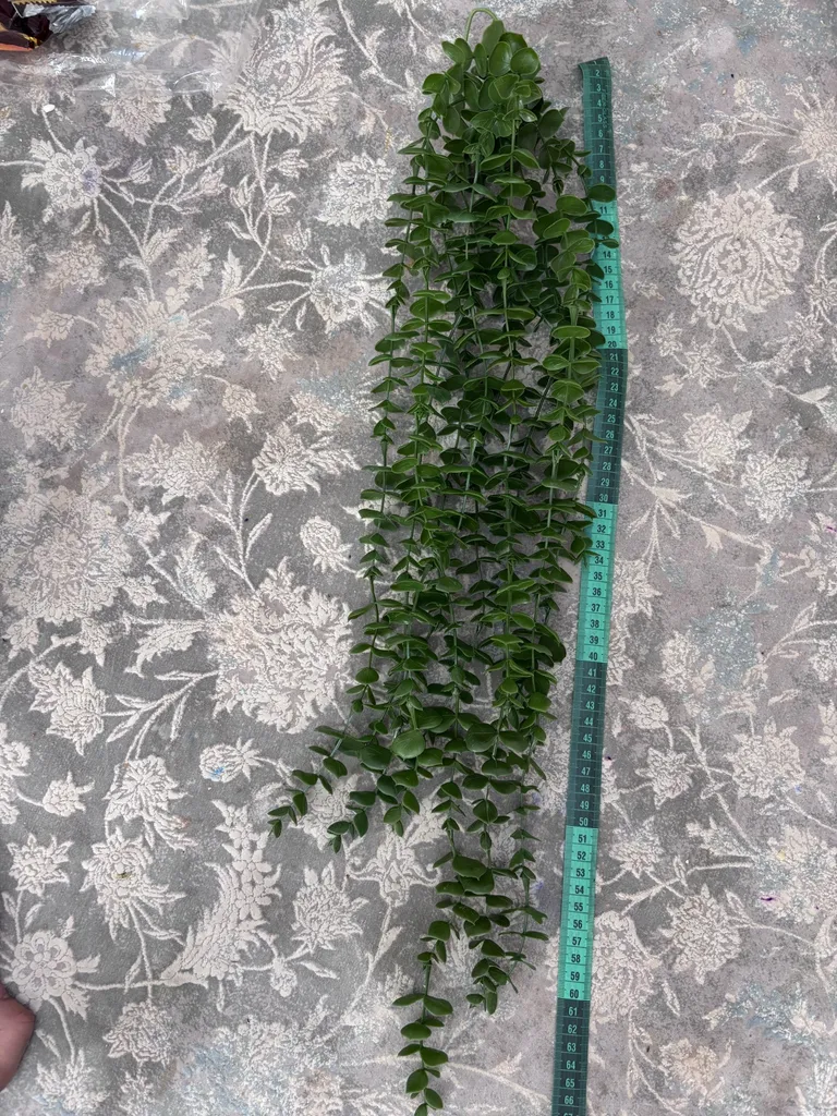 گل مصنوعی مدل اویز شمشاد