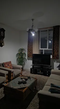 چراغ قوه دستی میجیا مدل MJSDT002QW