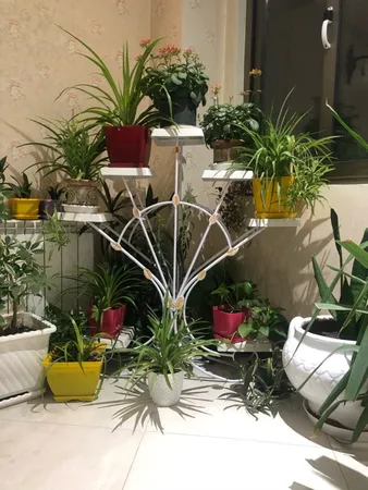 استند گلدان مدل دم طاووسی