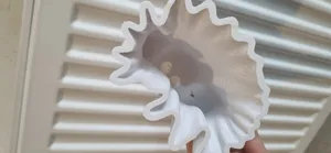 تجریه خرید مجسمه مدل ghost