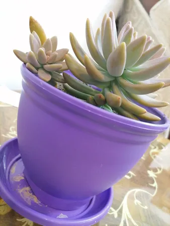 گلدان مدل 3015