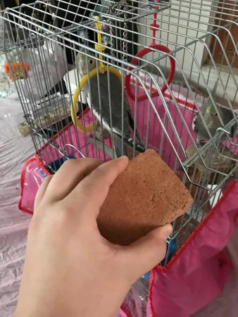 مکمل ویتامینه پرندگان مدل Z20 وزن 330 گرم