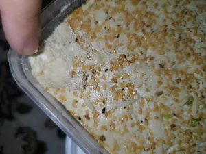 تجریه خرید حلوا شکری با خلال پسته راوک  -  700 گرم