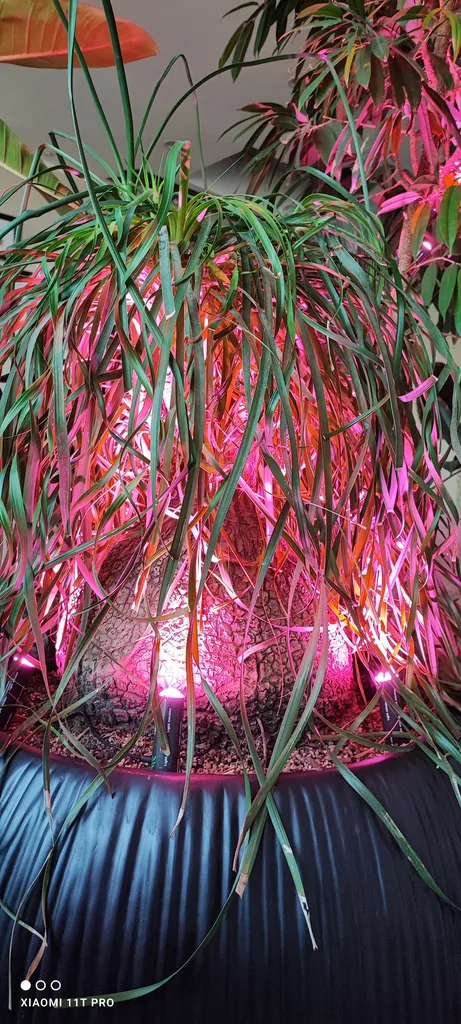 لامپ رشد گیاه 15 وات لایت ویژن مدل hp1-5w بسته سه عددی