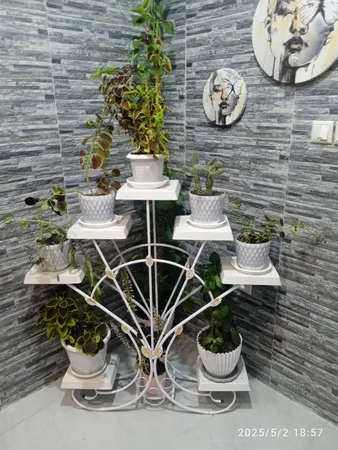 استند گلدان مدل دم طاووسی