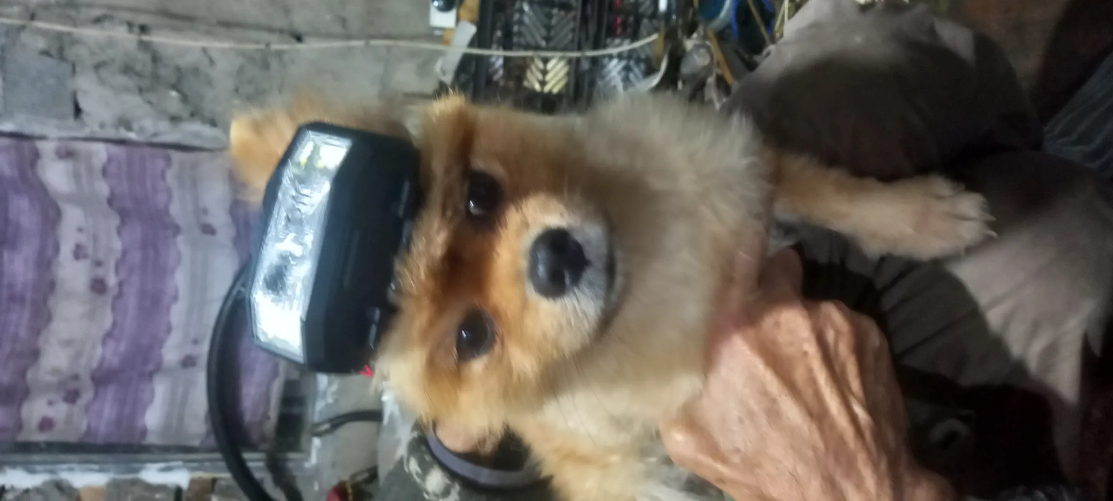 چراغ پیشانی مدل JS-910A SENSOR