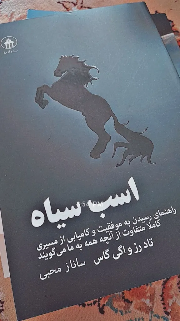 کتاب اسب سیاه اثر اگی اگاس انتشارات آیین محمود