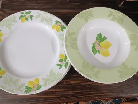 سرویس غذاخوری 28 پارچه چینی زرین ایران مدل رادیانس سیترونلا درجه یک