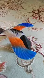 عقاب تعادلی مدل DSK