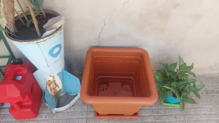 گلدان گلپونه مدل F118