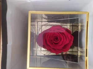 تجریه خرید جعبه موزیکال مدل گنجینه طرح دل را قرار نیست